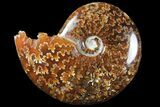 Polished, Agatized Ammonite (Cleoniceras) - Madagascar #94275-1